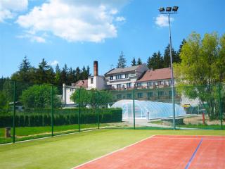 Bohmann