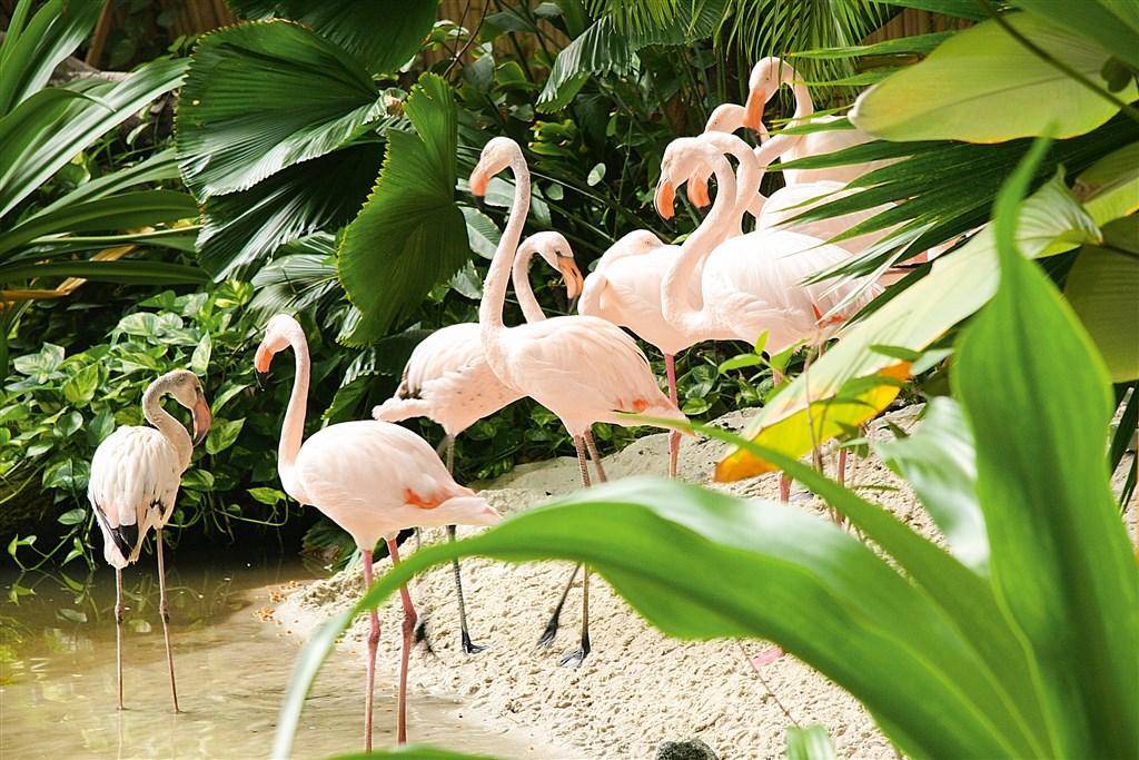 TROPICAL ISLANDS - Krausnick-Gross Wasserburg
