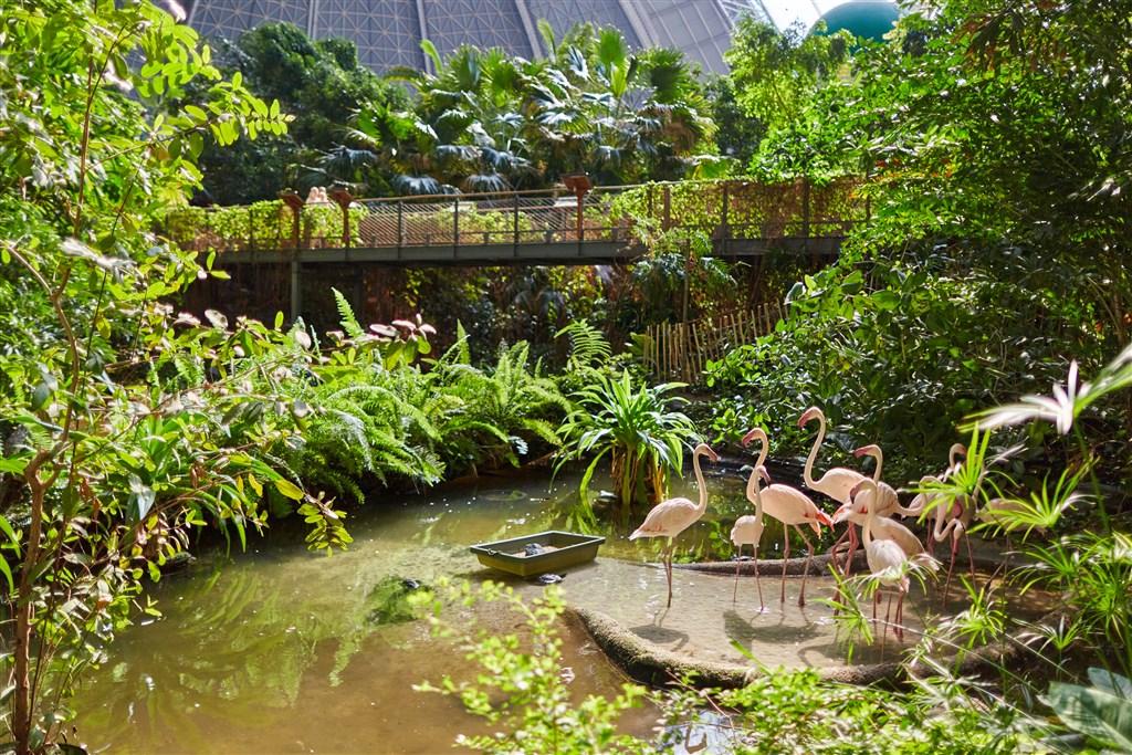 TROPICAL ISLANDS - Krausnick-Gross Wasserburg