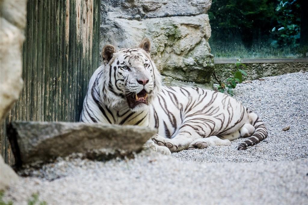 ZOO Liberec - zdroj: www.visitliberec.eu