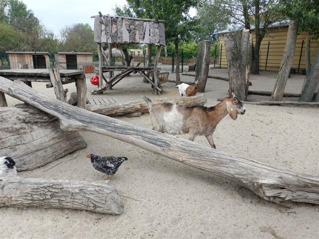 ZOO Malkia Park