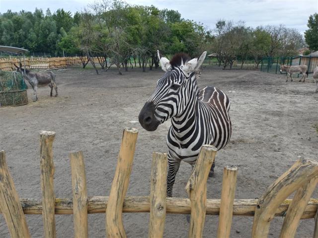 ZOO Malkia Park