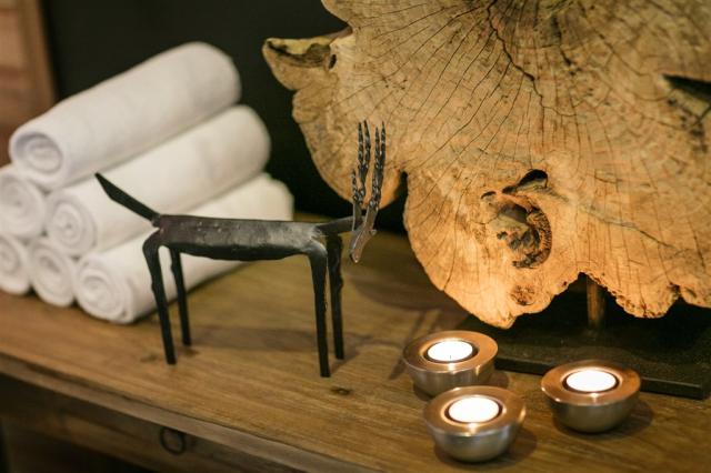 WELLMOUNT - wellness centrum