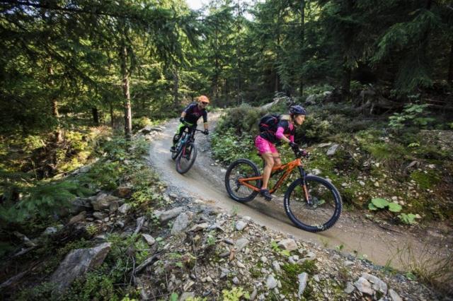 Trail Park Klínovec