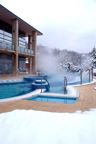 Thermal Hotel Visegrád