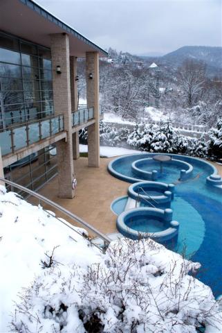 Thermal Hotel Visegrád