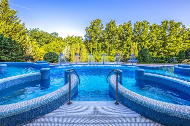 Thermal Hotel Visegrád
