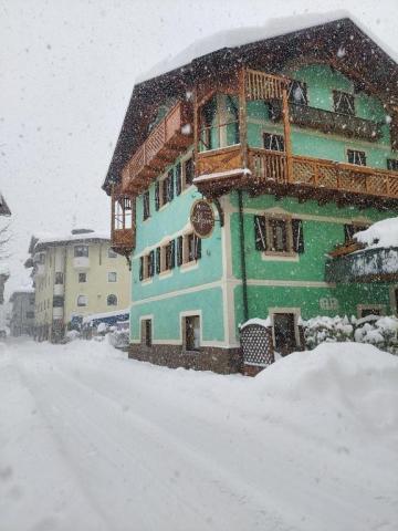 Alpina - Pinzolo