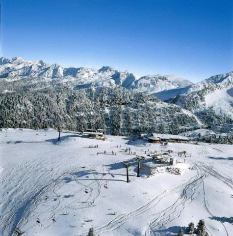 Alla Rocca