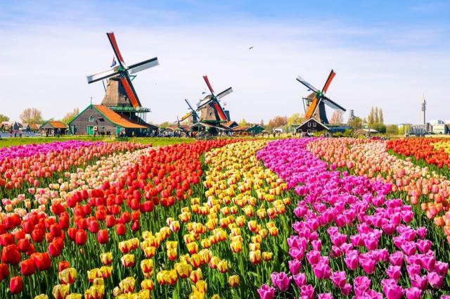 Květinový park Keukenhof s návštěvou Amsterdamu