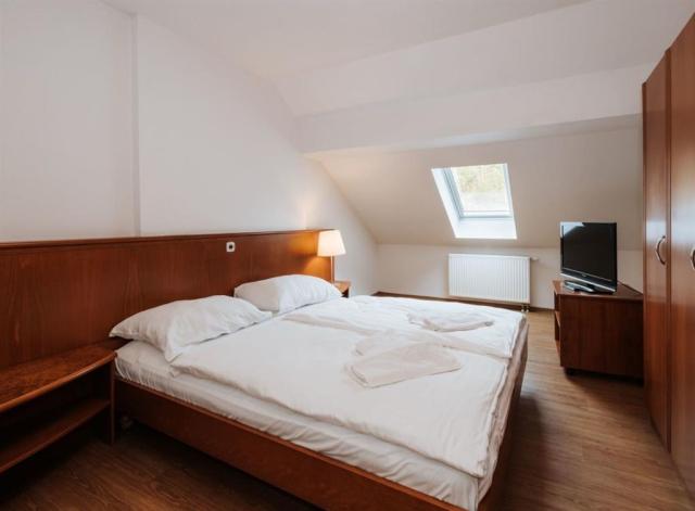 Apartmán P1 4+1