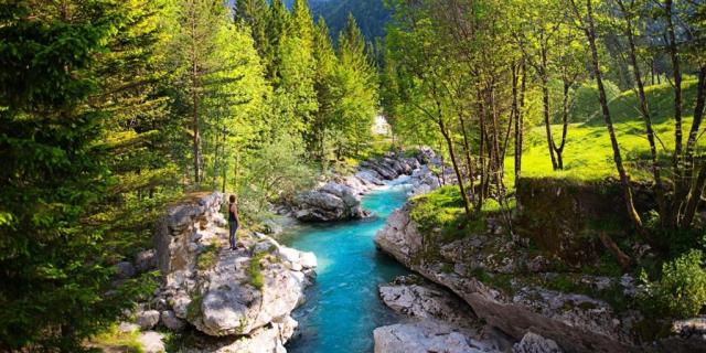 Alp