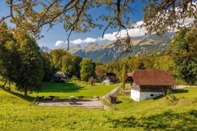 Ballenberg