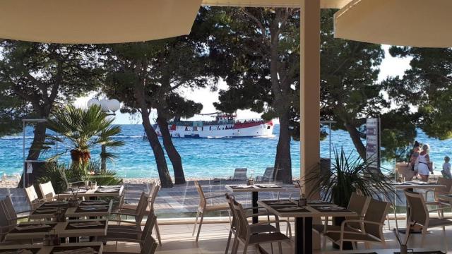 Bluesun Alga