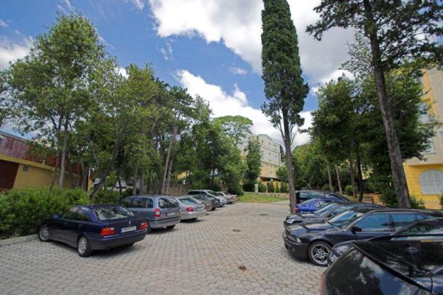 Vila Ruzica