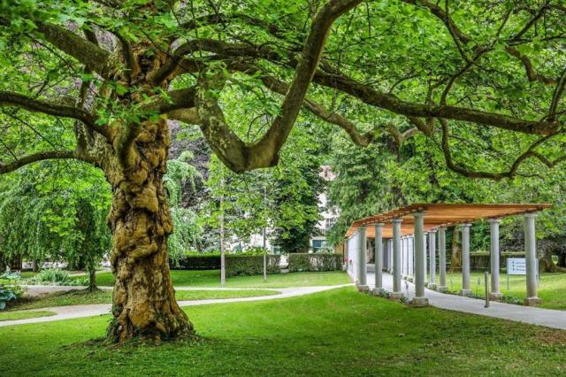 Lázeňský park