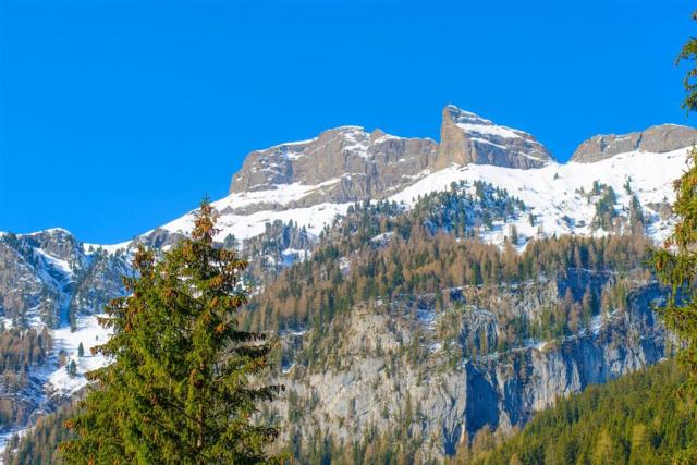 Faloria