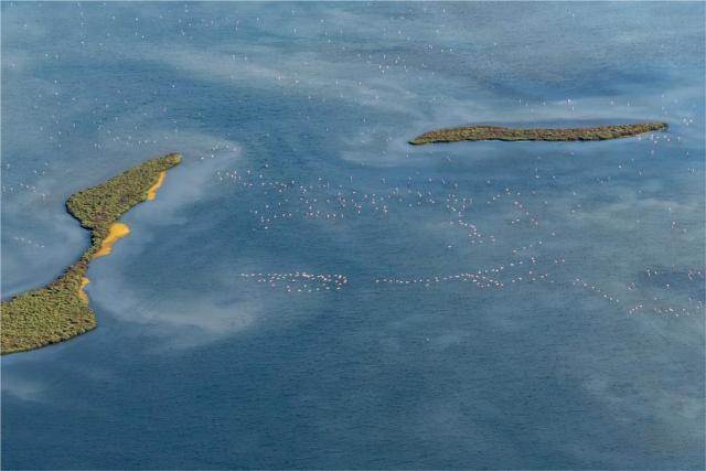 Camargue