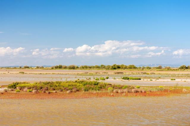 Camargue