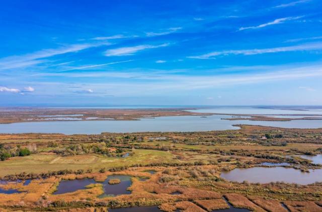Camargue