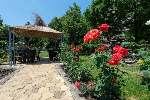 Belitsa