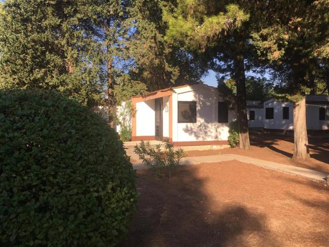 Bílé bungalovy