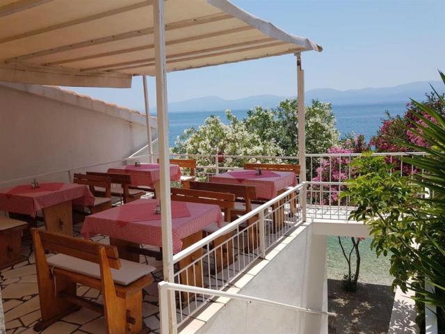restaurace Mimosa