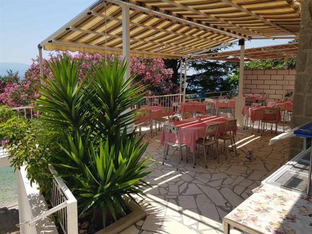 restaurace Mimosa
