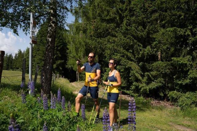 Nordic walking