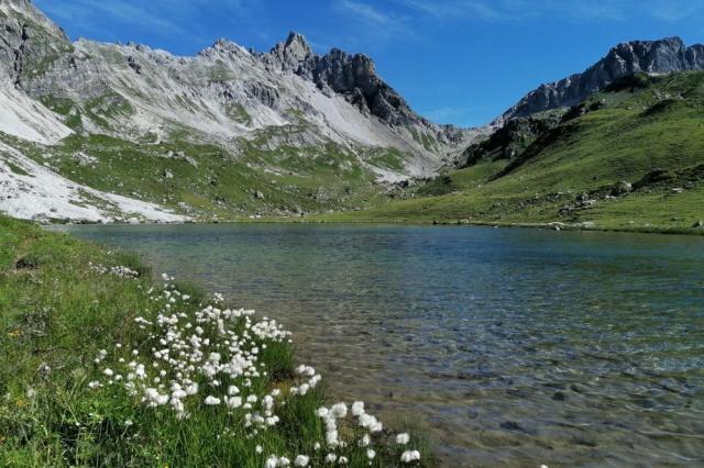 Zaunersee
