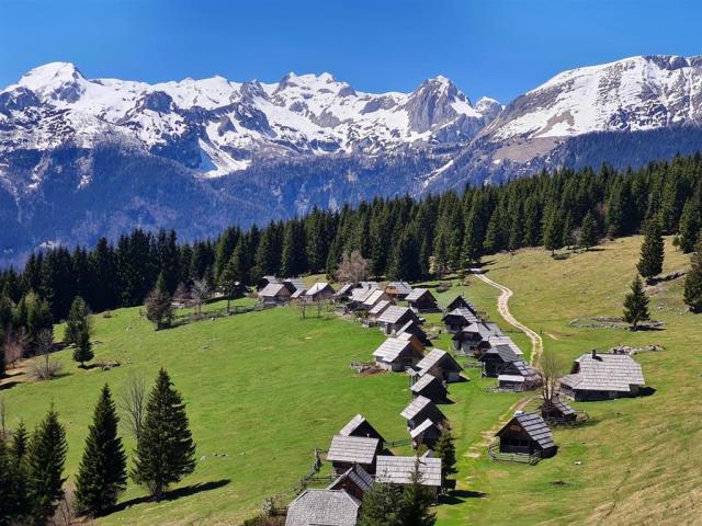 Planina Zajamniki
