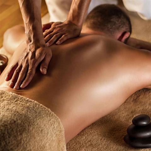 Wellness & Spa family apartments Bolfenk