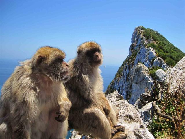 Gibraltar_02.jpg