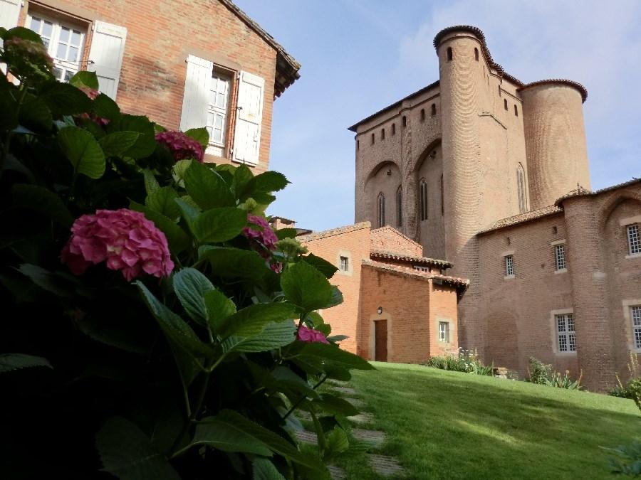 albi.jpg