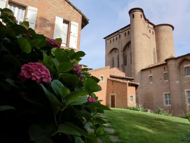 albi.jpg