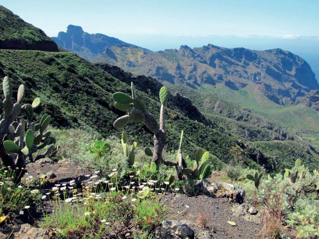 Spanelsko_Tenerife_4