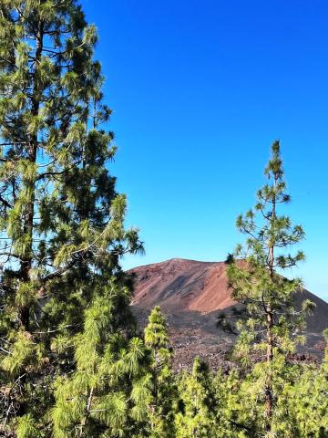 Tenerife   vulkán Chinyero 03
