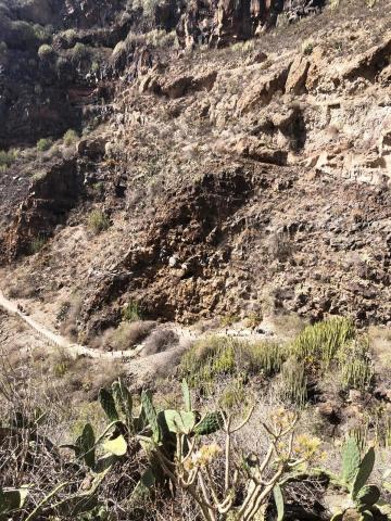 Tenerife   Barranco del Infierno 04