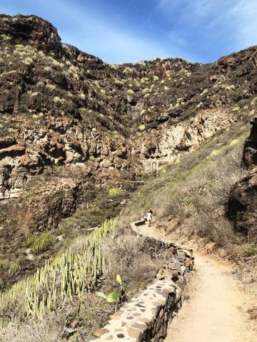 Tenerife   Barranco del Infierno 03