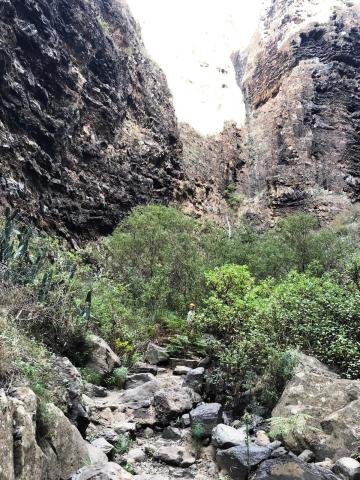 Tenerife   Barranco del Infierno 01