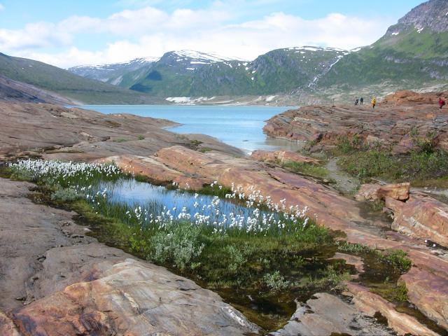 Svartisen-01 (2)