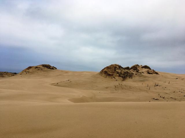 Slowinski NP