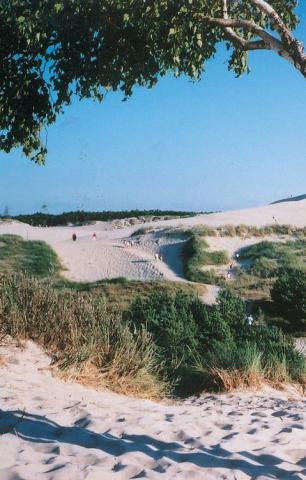 Polsko duna
