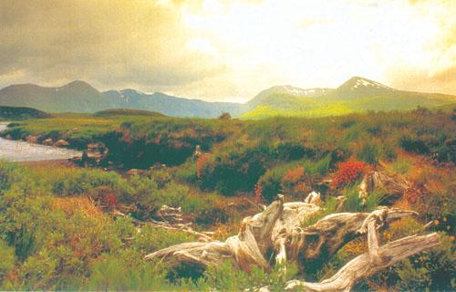 Skotsko - krajina