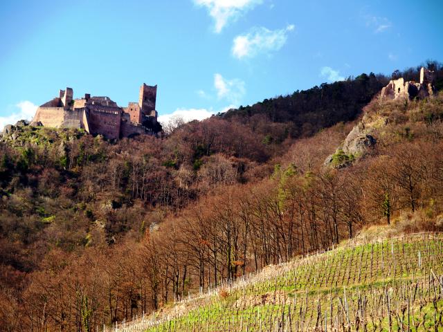 Ribeauvillé 4