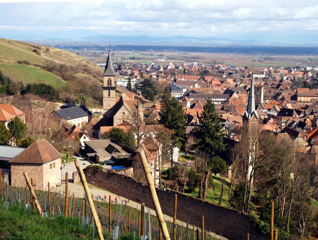 Ribeauvillé 5