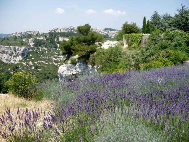 Provence 3