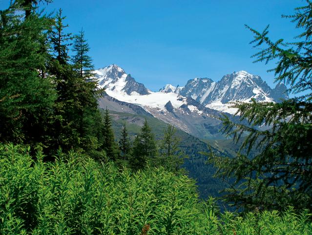 Svycarsko_Wallis_03