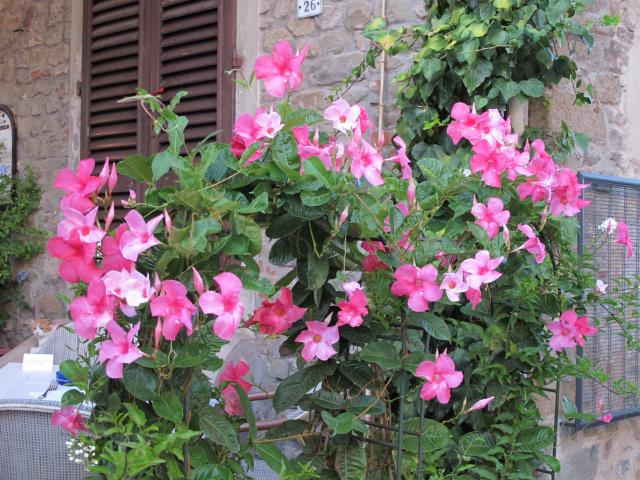 montecatini-terme-06