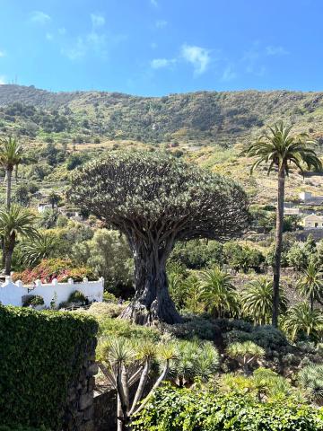 La Gomera 04